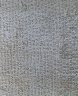 07030294.JPG - 