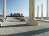 07040550.JPG - 